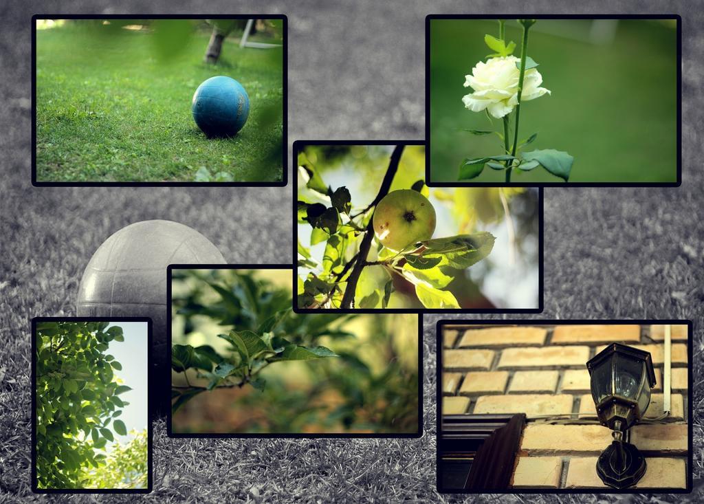 فندق فندق سلام أوش المظهر الخارجي الصورة